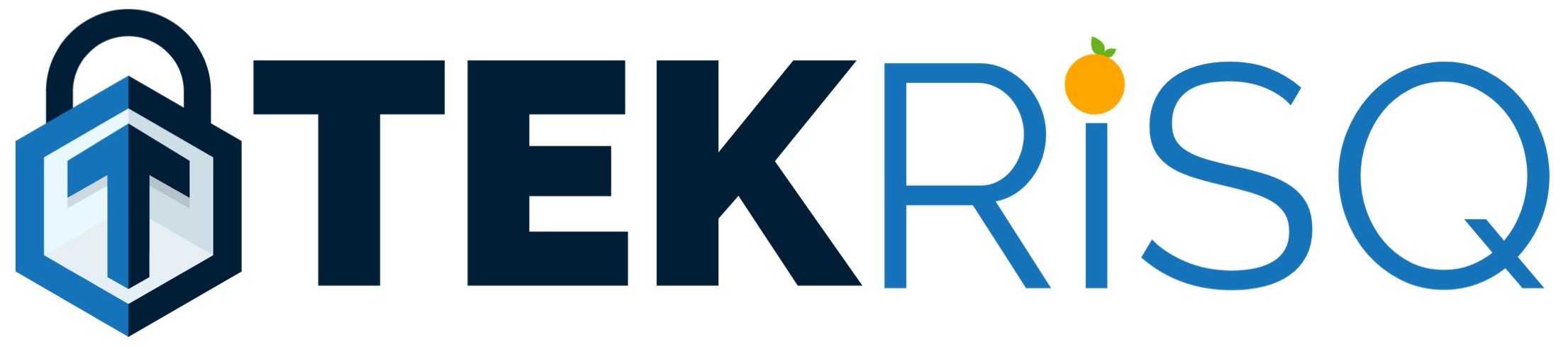 TEKRiSQ Logo 4 copy